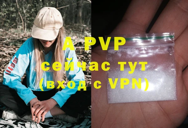 винт Абаза
