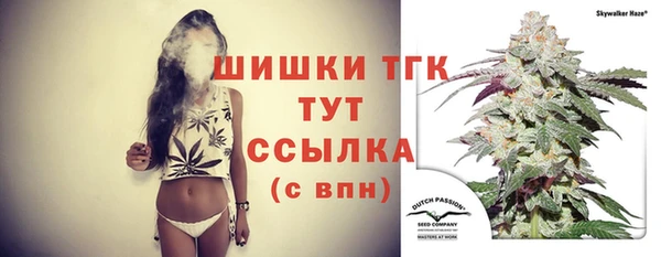 винт Абаза