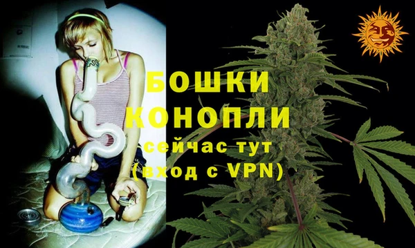 винт Абаза