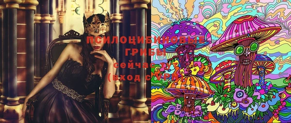 винт Абаза