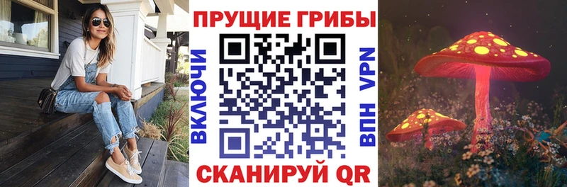 где продают   Краснокамск  Галлюциногенные грибы мицелий 